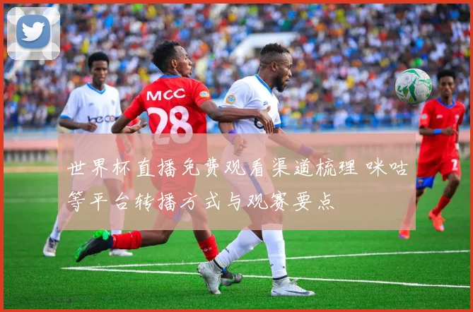 世界杯直播免费观看渠道梳理 咪咕等平台转播方式与观赛要点