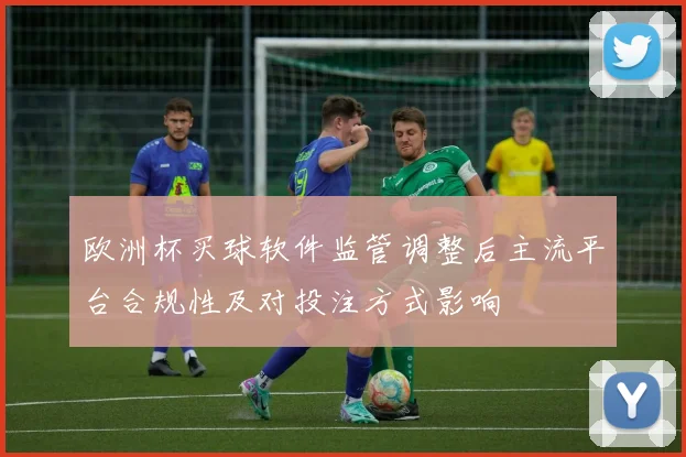 欧洲杯买球软件监管调整后主流平台合规性及对投注方式影响
