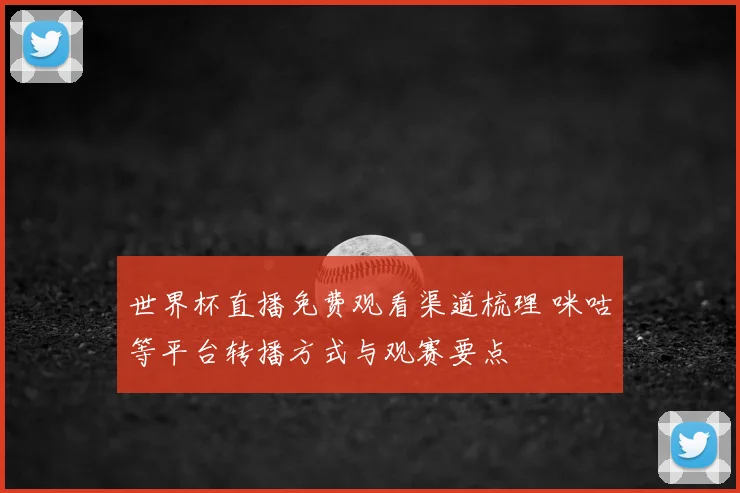 世界杯直播免费观看渠道梳理 咪咕等平台转播方式与观赛要点