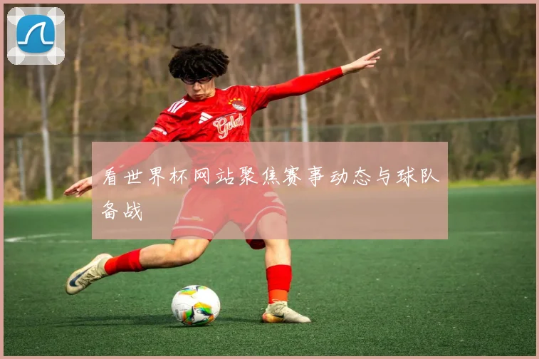 看世界杯网站聚焦赛事动态与球队备战
